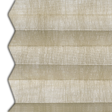 macadamia 3-7952